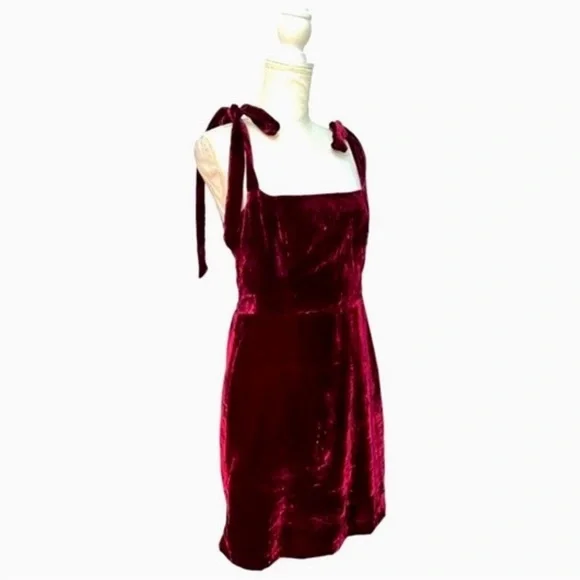House of Harlow 1960 x Revolve Burgundy Velvet Shoulder Tie Maroon Mini Dress M - Picture 5 of 8